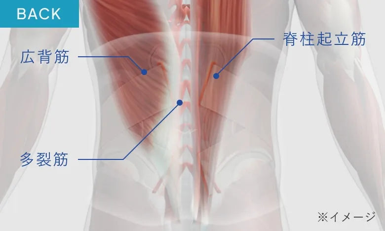 SIXPAD Medical Core