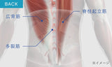 SIXPAD Medical Core