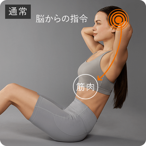 SIXPAD Abs2